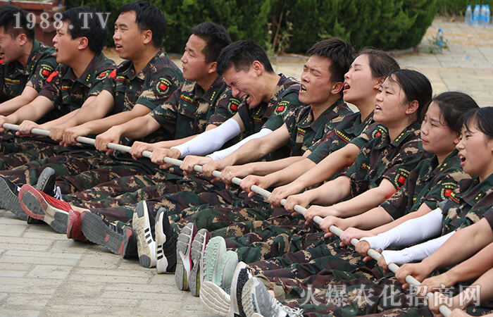 一路花開(kāi),一路有你!火爆十年,從“心”出發(fā)!