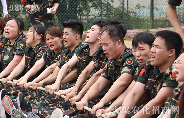 努力到無能為力,感動到感動自己