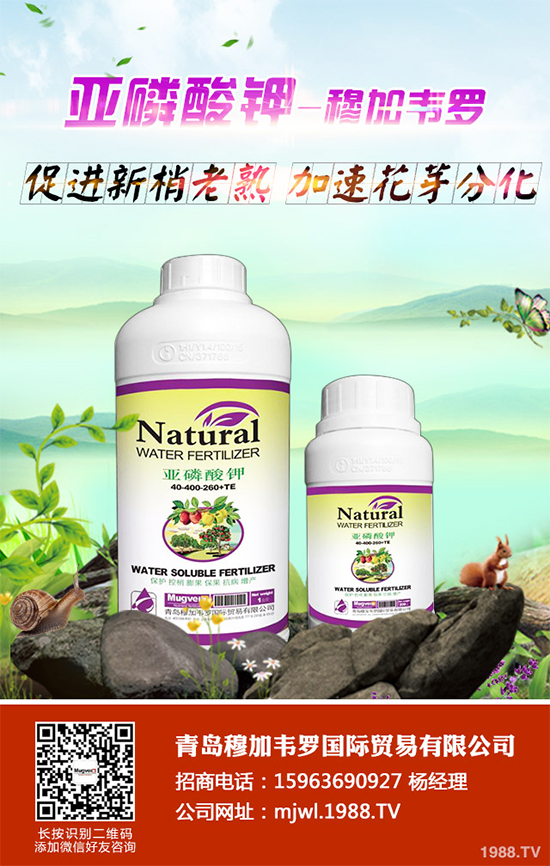 甘藍軟腐病有哪些癥狀表現(xiàn)?是如何發(fā)生的?甘藍軟腐病預防措施