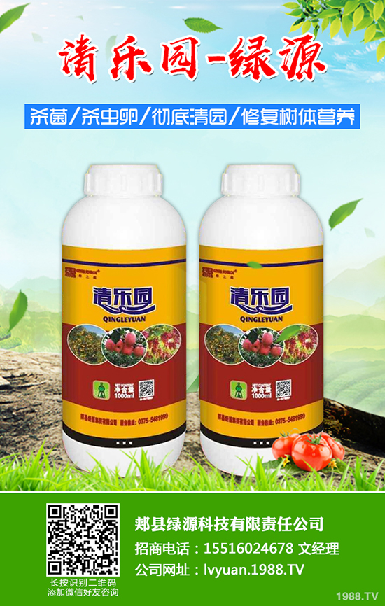 草莓如何施底肥,草莓底肥施用方法及注意事項(xiàng)!