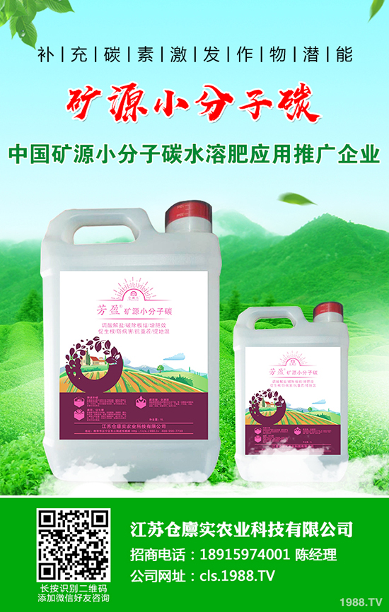 馬鈴薯爆發(fā)晚疫病怎么辦？馬鈴薯晚疫病防治方法！