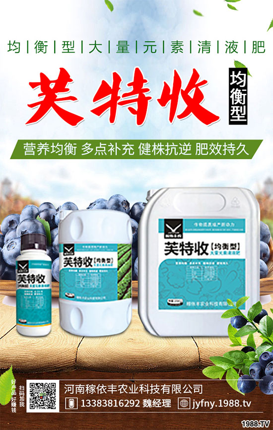 陽臺上能種植上海青嗎？該注意什么？陽臺上種植上海青的注意事項(xiàng)