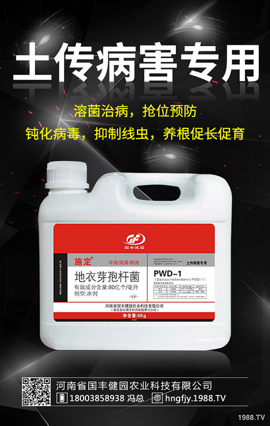 小麥除草劑什么時(shí)候打好，小麥打除草劑的時(shí)間及注意事項(xiàng)！