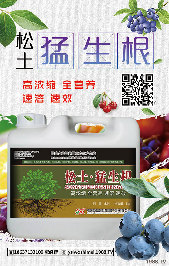 小麥苗期為什么死苗嚴重?小麥出苗期死苗咋補救?