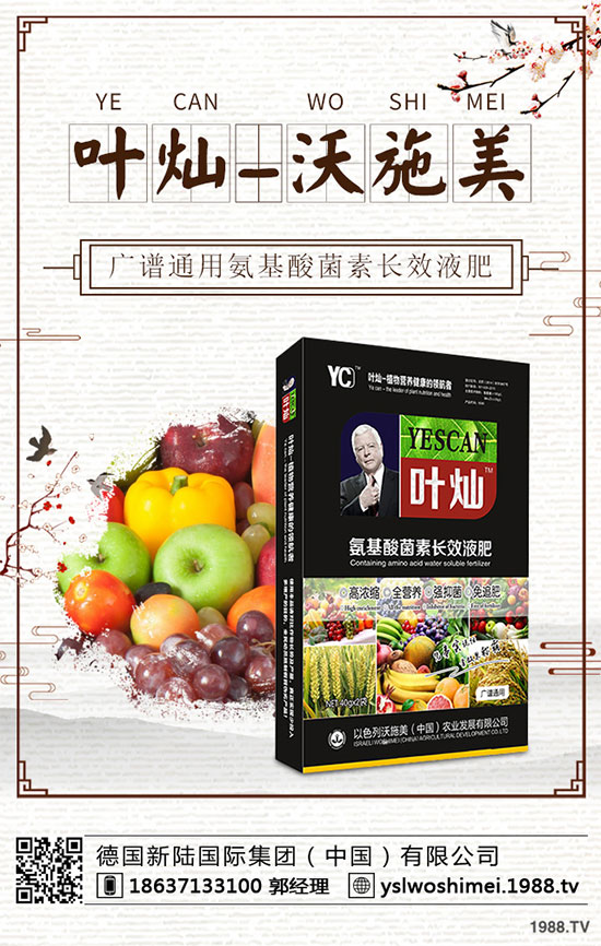 冬小麥為什么出現(xiàn)黃苗,死苗?冬小麥黃苗,死苗防治措施!