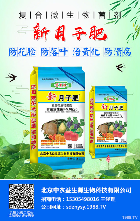     2019年10月中旬最新磷酸一銨市場價(jià)格行情走勢綜合分析