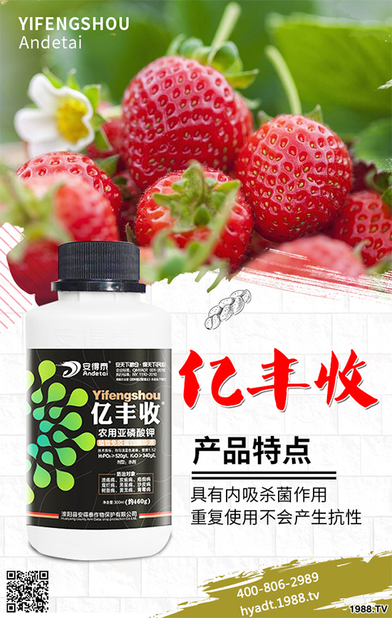 ������ʩ�ʮa��������������[�߮aʩ�ʷ���