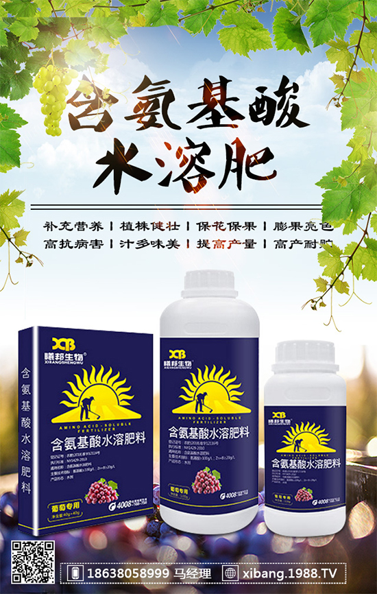 香蔥常見(jiàn)病害有哪些？香蔥病蟲(chóng)害防治技術(shù)大全