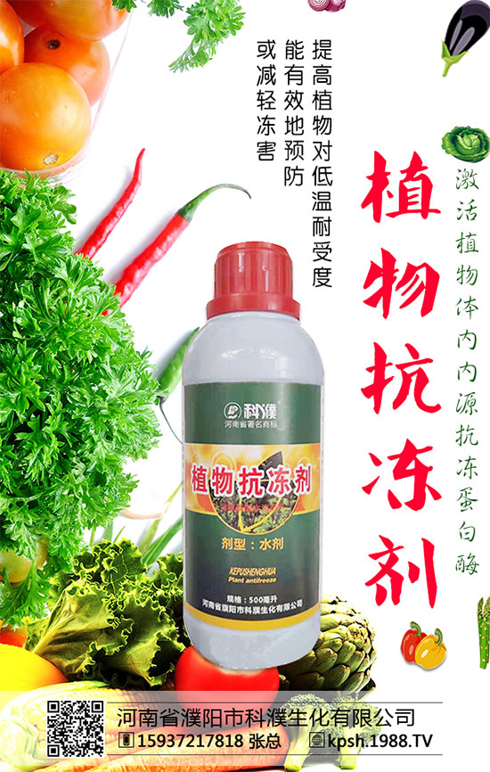 辣椒殺蟲劑價(jià)格