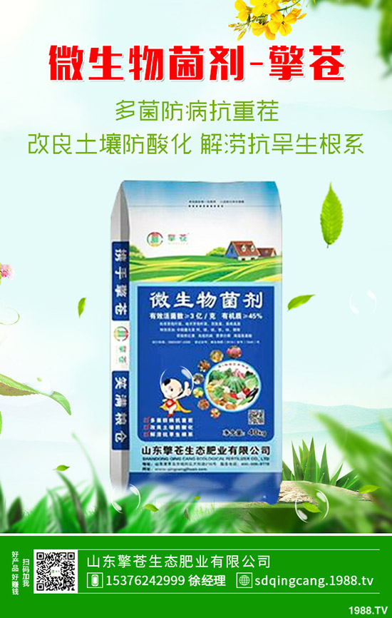 尿素價(jià)格連續(xù)下跌!近期尿素行情走勢(shì)分析2019-10-17