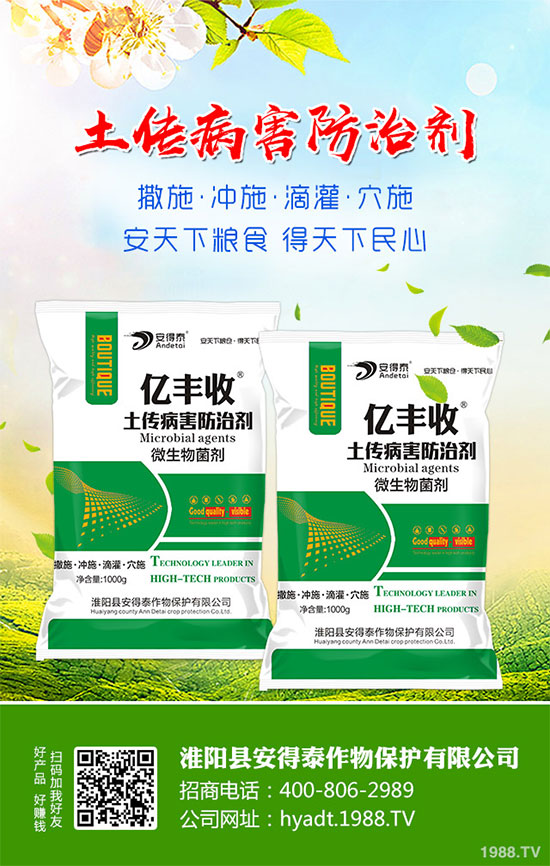 白蘿卜的功效與作用，白蘿卜營養(yǎng)價值！