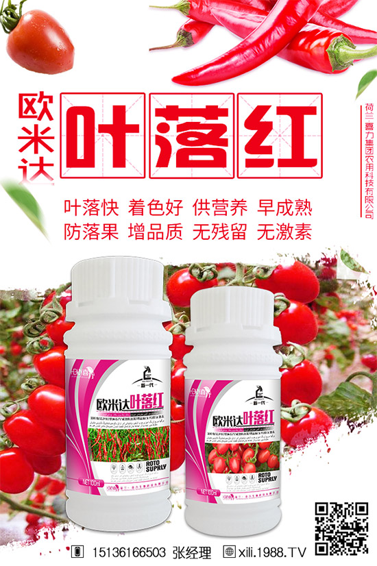 茄子生長期為啥會早衰?防治茄子早衰的方法!