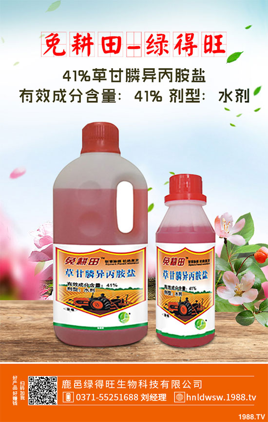 小白菜遇到白斑病該怎么辦？白菜白斑病防治措施