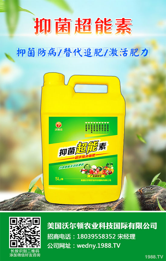 小白菜遇到白斑病該怎么辦？白菜白斑病防治措施