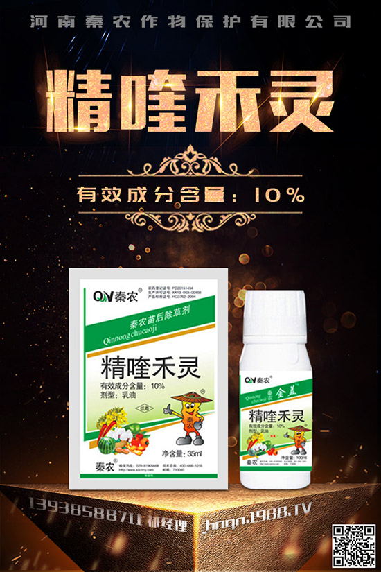 菠菜什么時候種更合適?菠菜種植技術和時間!