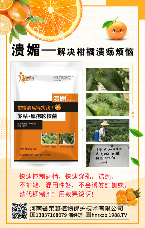 菠菜的營(yíng)養(yǎng)價(jià)值,吃菠菜的好處有哪些?