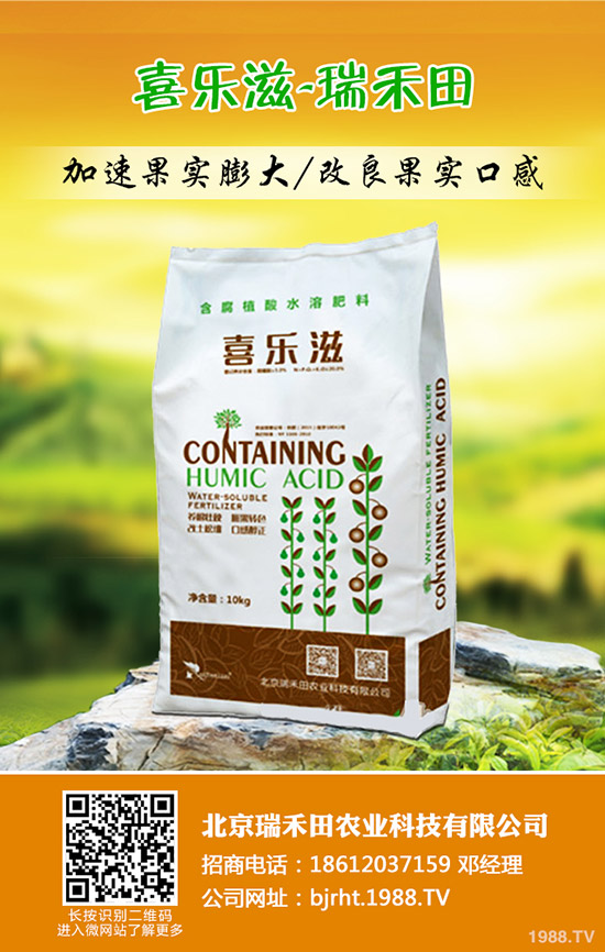 冬棗什么時間種植，冬棗高產(chǎn)管理技術(shù)！