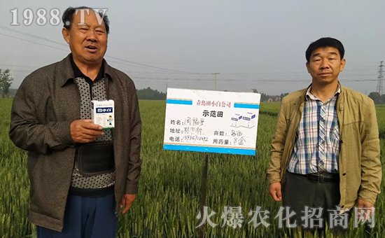 節(jié)節(jié)麥如何防除，用什么藥？