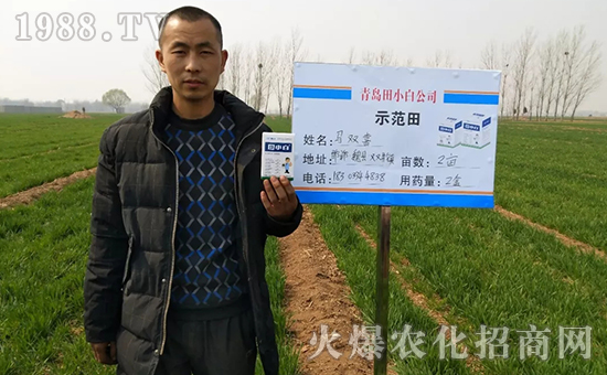 節(jié)節(jié)麥如何防除，用什么藥？