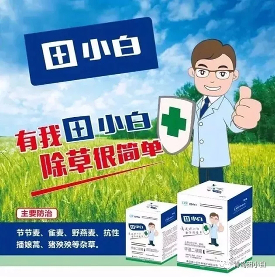 節(jié)節(jié)麥如何防除，用什么藥？怎么打藥效果好？