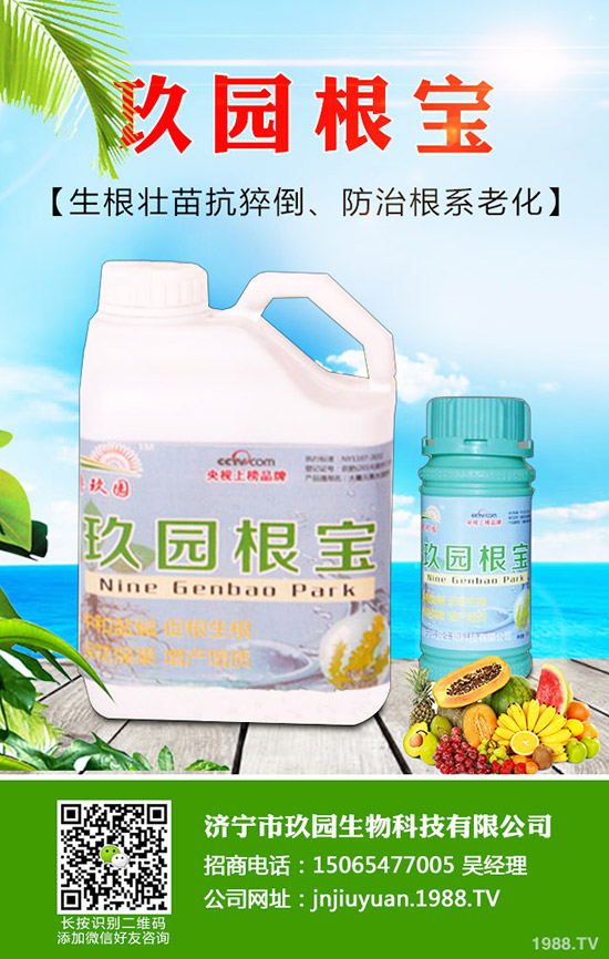 菠菜蚜蟲如何防？菠菜蚜蟲的危害及發(fā)生規(guī)律！