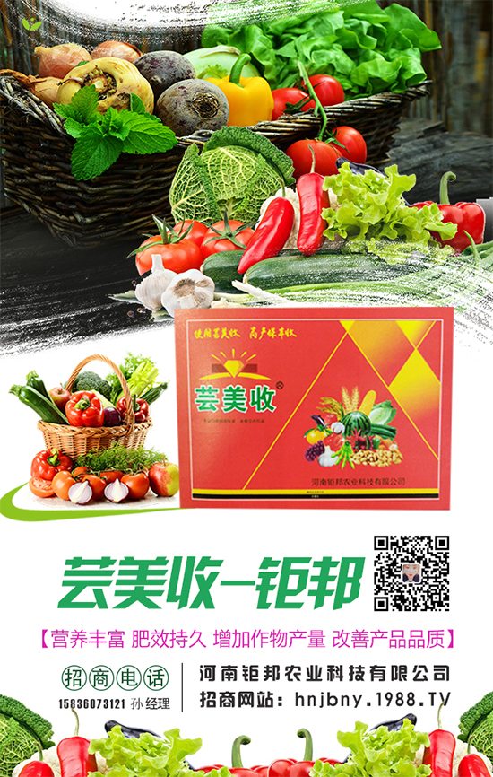 櫻桃蘿卜生長對環(huán)境條件要求,櫻桃蘿卜怎么施肥?