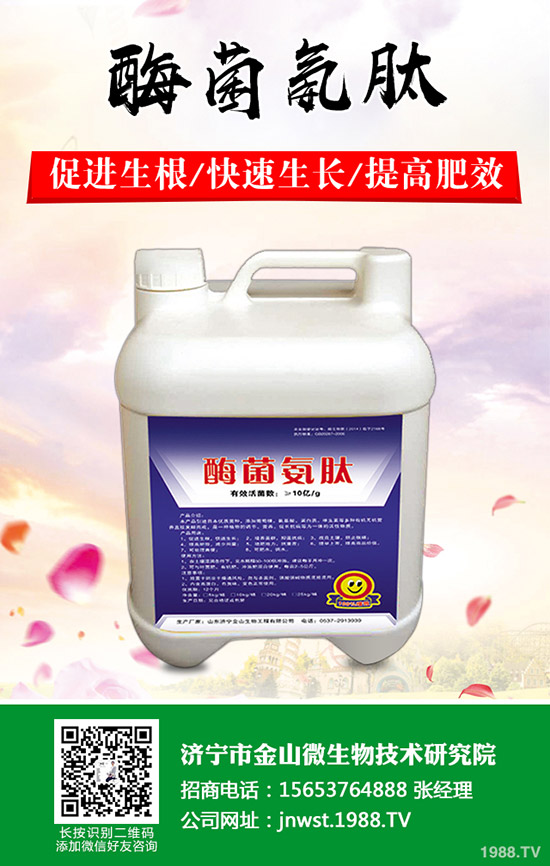 天冬怎樣種植,天冬高產(chǎn)管理技術(shù)!