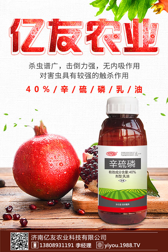 �D÷�N����ô�N���D÷�N�ӷNֲ������