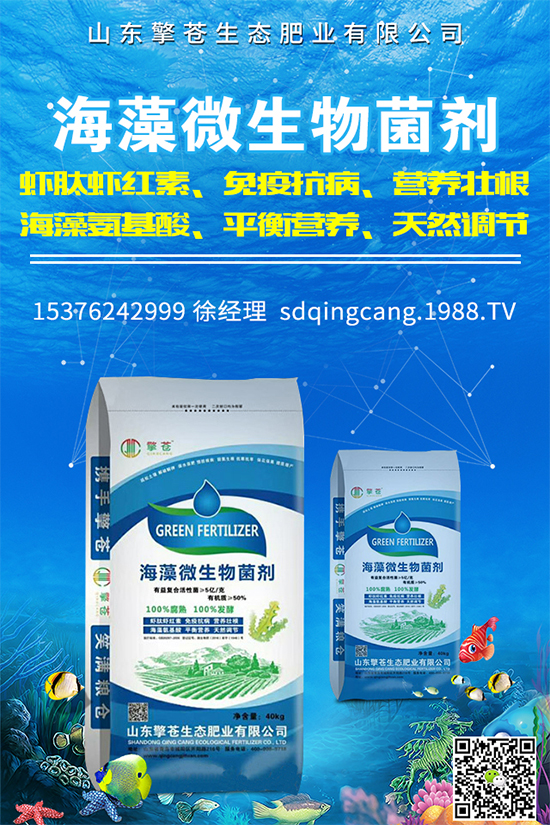 油麥菜霜霉病有哪些危害癥狀？有哪些表現(xiàn)？油麥菜霜霉病的防治措施