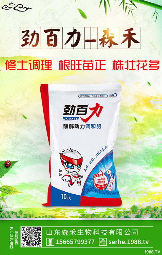 油麥菜霜霉病有哪些危害癥狀？有哪些表現(xiàn)？油麥菜霜霉病的防治措施