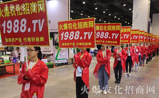 ǧ�̅R������Ʒ�Ƽ�|2019�����r(n��ng)����ʢ���_Ļ��