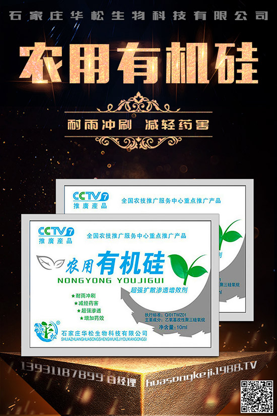 芹菜空心的原因是什么，如何預(yù)防芹菜空心？