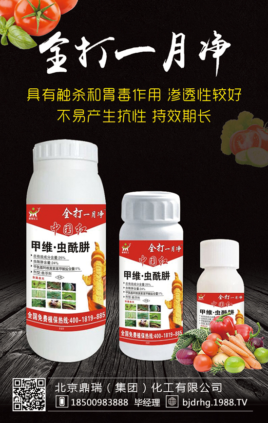 北京鼎瑞(集團)化工有限公司1