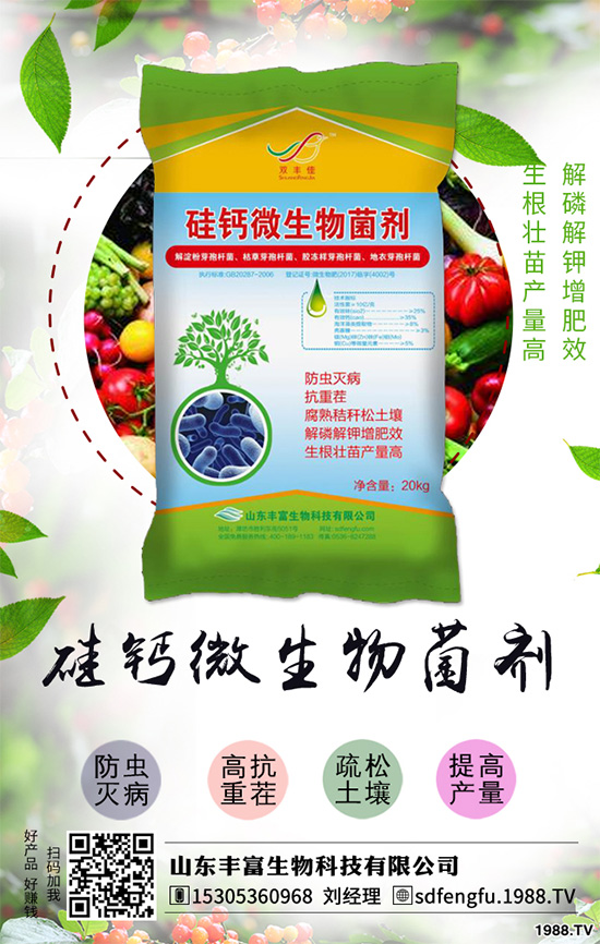 辣椒落葉是什么原因?辣椒落葉如何防治?