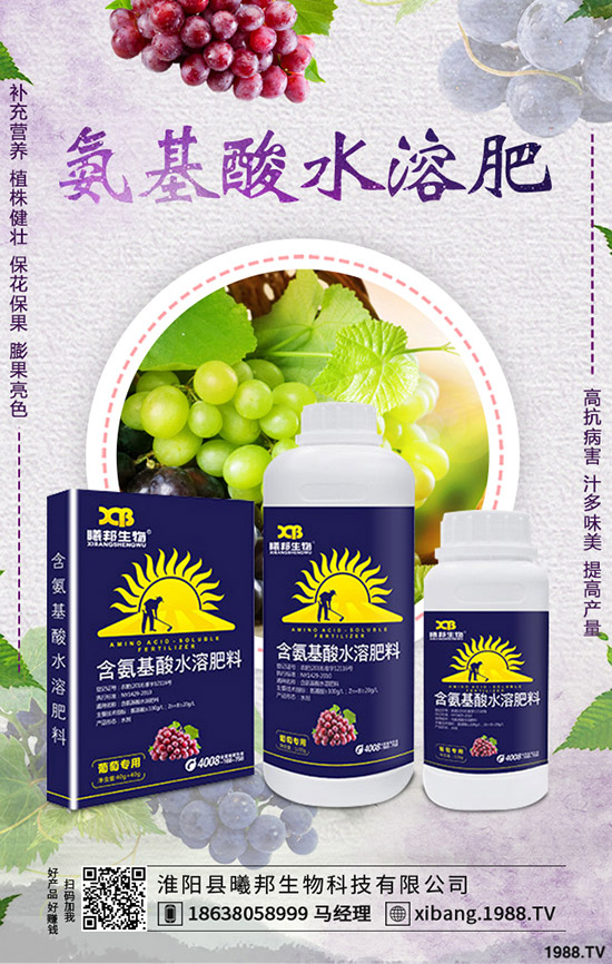 秋季蘿卜怎么種植，秋季蘿卜種植技術及栽培要點！