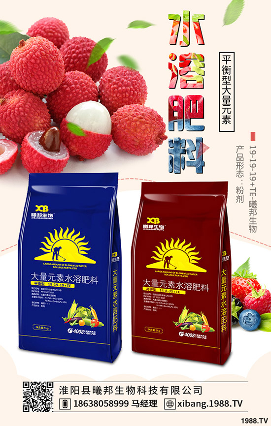 越冬菠菜怎么種，越冬菠菜的種植時間及種植方法！