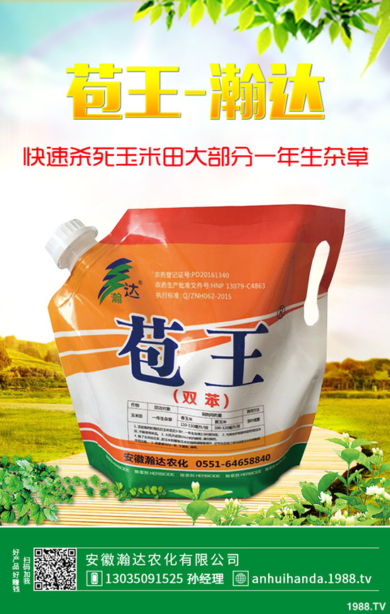 石楠花怎么種植？石楠花的養(yǎng)殖方法！