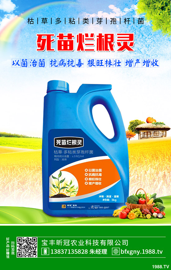 怎么種植羅漢果，羅漢果種植方法介紹！