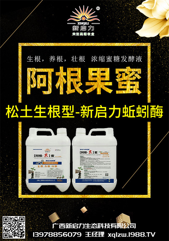 甘藍(lán)黑脛病有哪些危害？秋甘藍(lán)病害的發(fā)生與防治技巧