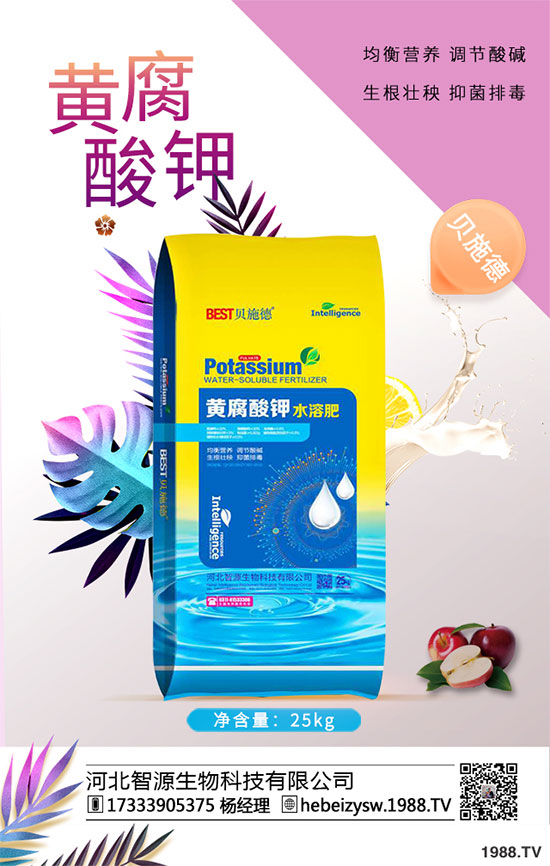 八月炸怎樣種植？八月瓜栽培技術(shù)！