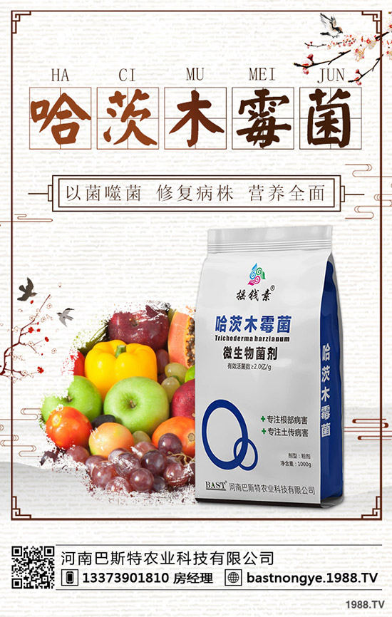 2019.10.9今日各地區(qū)復合肥出廠報價一覽