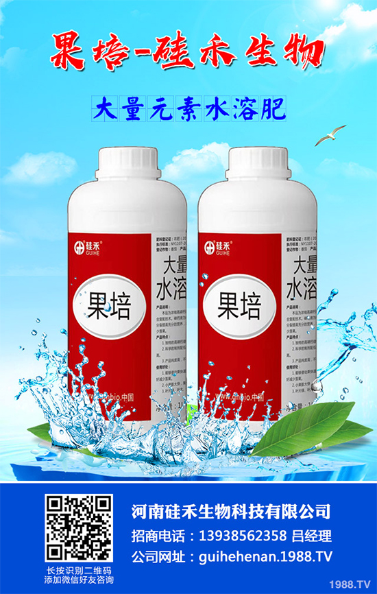 甘藍(lán)黑腐病是如何發(fā)生的？有哪些危害？甘藍(lán)黑腐病綜合防治方案