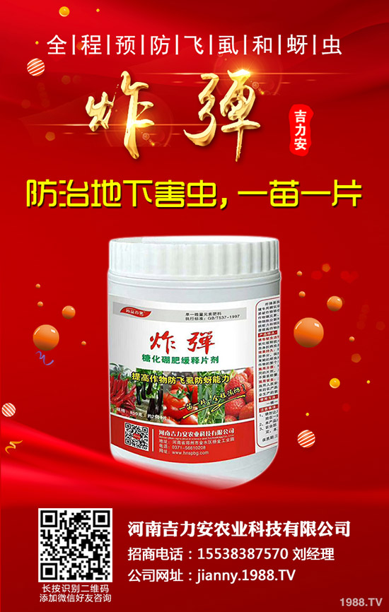 芹菜的功效與作用，哪些人不能吃芹菜？