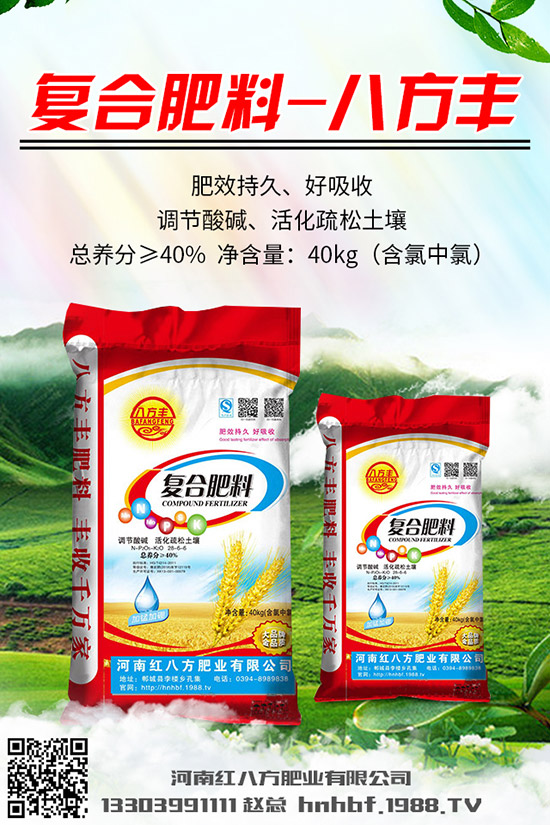 芹菜怎么種？芹菜什么時(shí)候種植好？芹菜種植時(shí)間和方法！