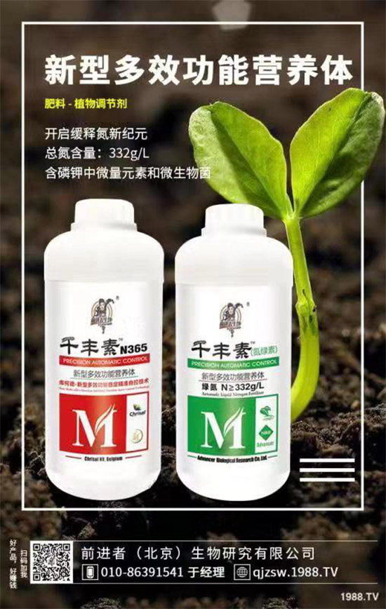 花生爛果怎么回事？花生爛果的防治措施！