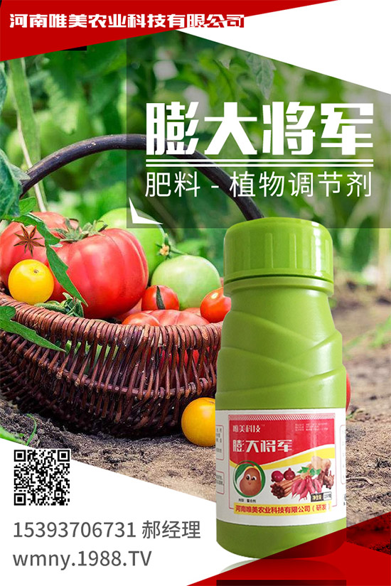 小麥底肥施足的依據是什么？小麥底肥的施用方案