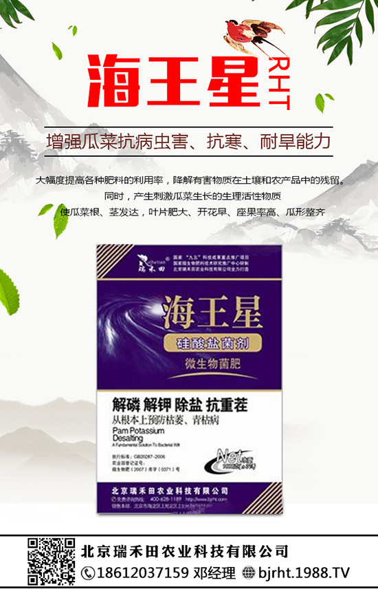 2020年種植火龍果賺錢嗎？火龍果的種植前景怎樣？