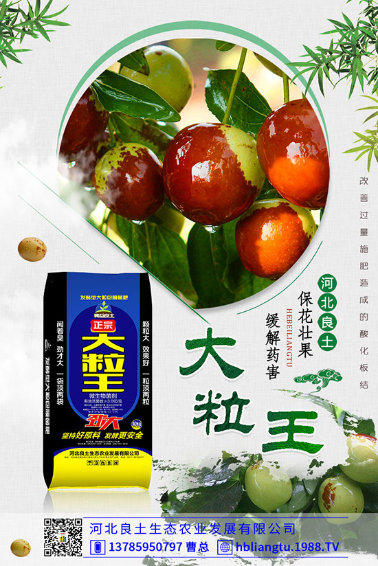 甜瓜落花落果原因有哪些？甜瓜如何提高座果率？