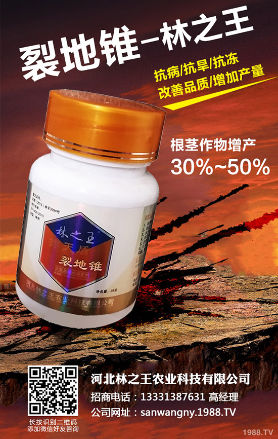 苦瓜裂果是怎么回事，苦瓜裂果防治措施！