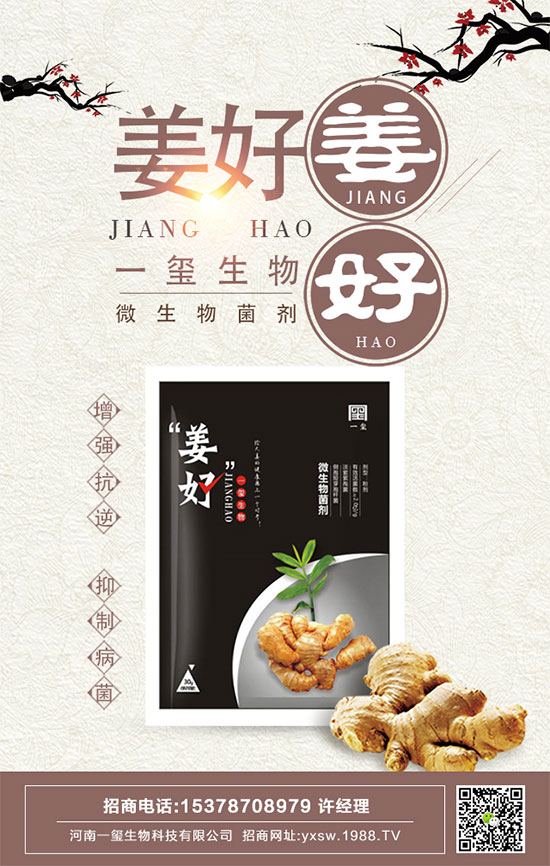 豆角的四個(gè)生育期有哪些特點(diǎn)?如何長(zhǎng)期保存豆角?